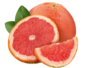 Grapefruit PNG-15267